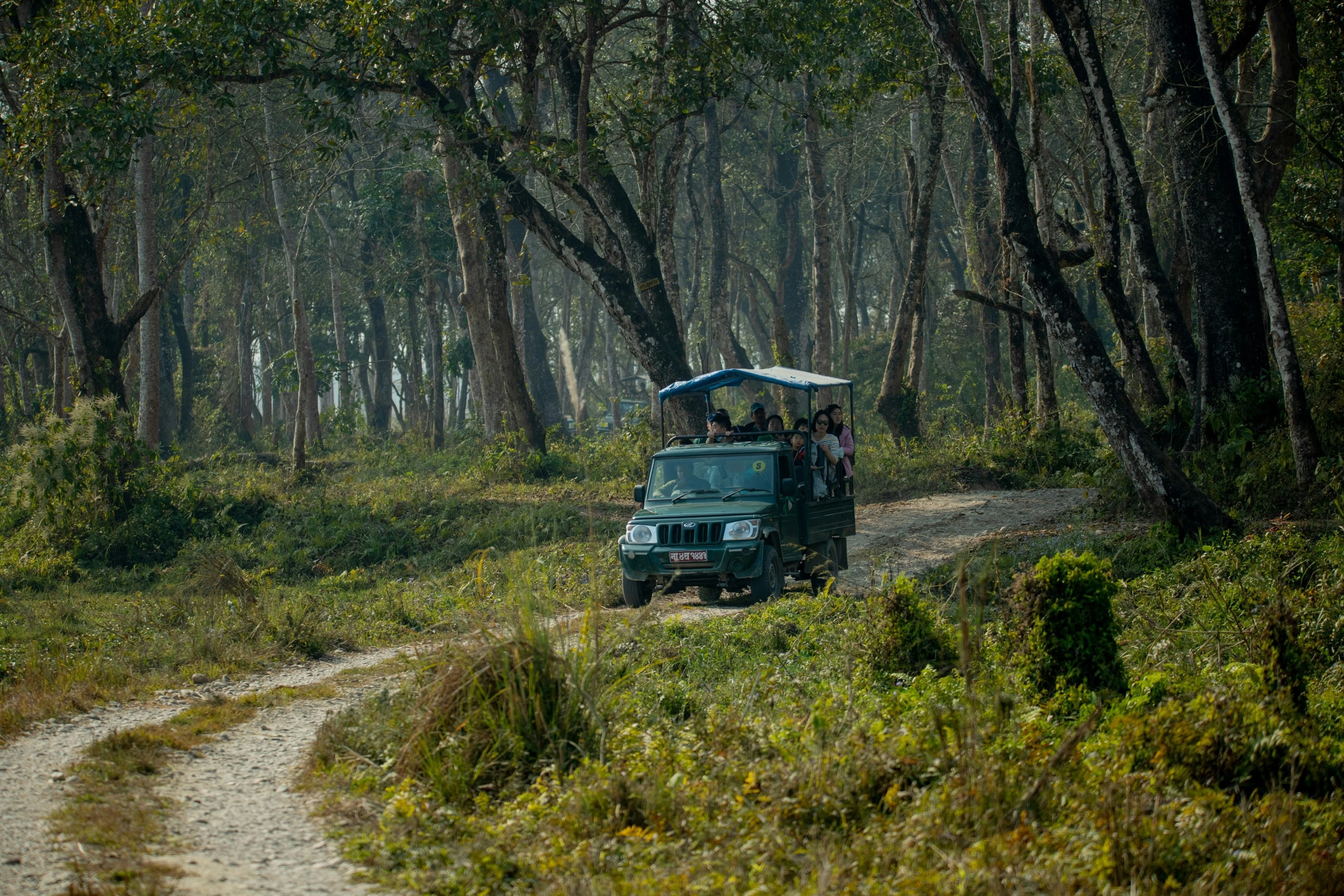 Chitwan
